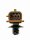 FAST FT80238 Sensor, Abgastemperatur