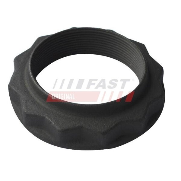 FAST FT26035 Mutter, Achszapfen