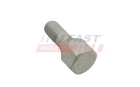 FAST FT21581 Radschraube