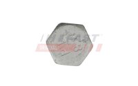 FAST FT21581 Radschraube