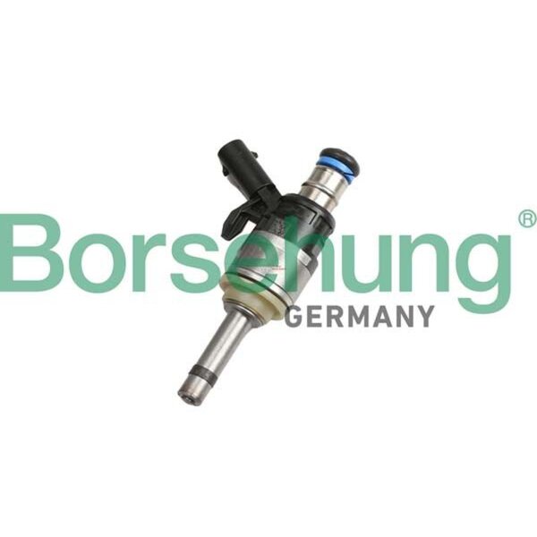 Borsehung B11168 Einspritzventil