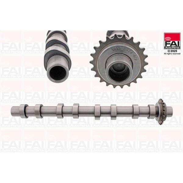 FAI AutoParts C619 Nockenwelle