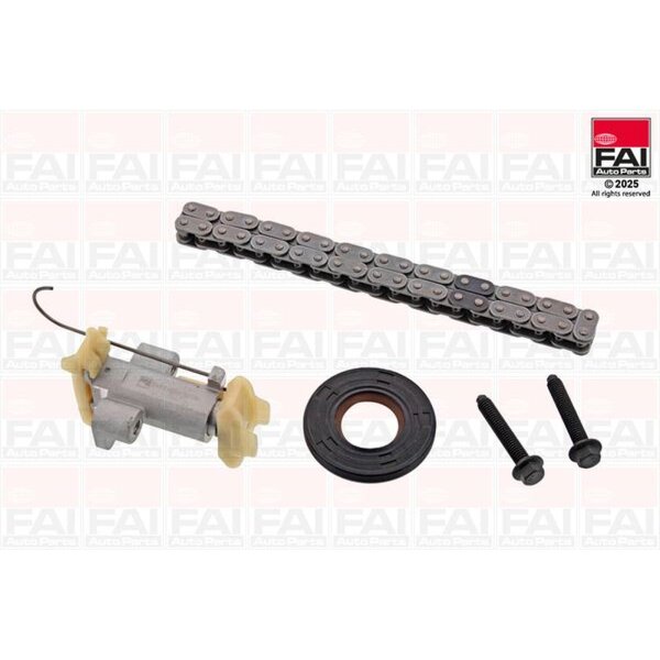 FAI AutoParts TCK487 Steuerkettensatz