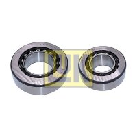 Schaeffler LuK 462 5007 70 Reparatursatz, Differential
