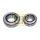 Schaeffler LuK 462 5007 70 Reparatursatz, Differential