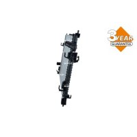 NRF 550389 Kühler, Motorkühlung