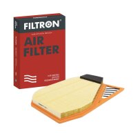 FILTRON AP 078/9 Luftfilter
