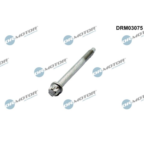 Dr.Motor Automotive DRM03075 Schraube, Einspritzdüsenhalter