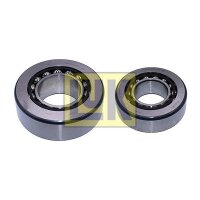 Schaeffler LuK 462 5001 70 Reparatursatz, Differential