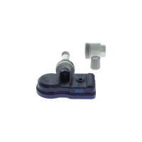 BOSCH 0 273 014 060 Radsensor, Reifendruck-Kontrollsystem