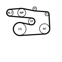CONTINENTAL CTAM 5PK1646K1 Keilrippenriemensatz