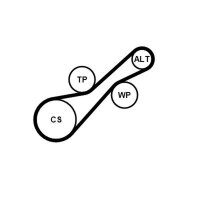 CONTINENTAL CTAM 6PK1205K2 Keilrippenriemensatz