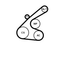 CONTINENTAL CTAM 6PK1256K1 Keilrippenriemensatz