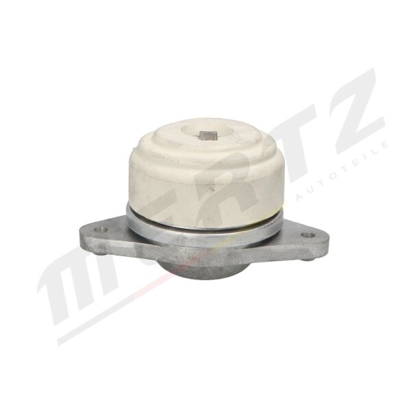 MERTZ M-S5601 Lagerung, Motor