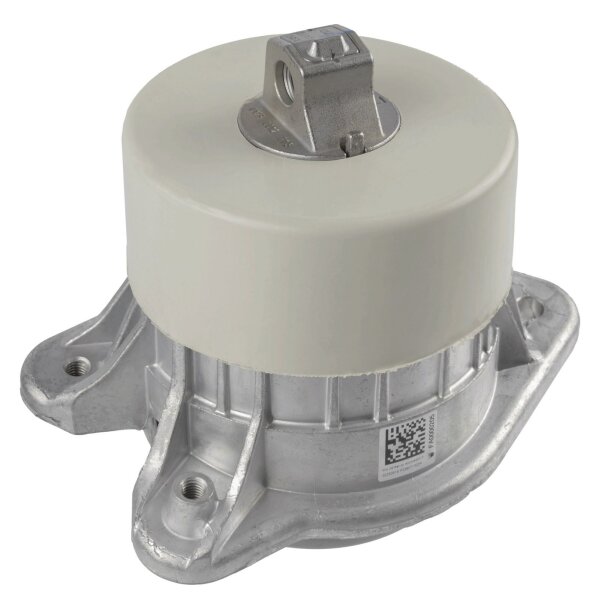 LEMFÖRDER 45950 01 Lagerung, Motor