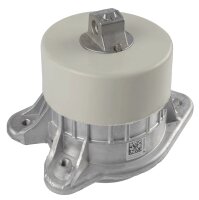 LEMFÖRDER 45950 01 Lagerung, Motor