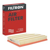 FILTRON AP 165/9 Luftfilter
