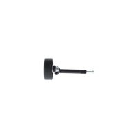 BOSCH 1 987 600 352 Spannrolle, Keilrippenriemen