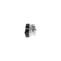 BOSCH 1 987 600 348 Riemenspanner, Keilrippenriemen
