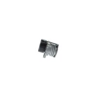 BOSCH 1 987 600 359 Riemenspanner, Keilrippenriemen