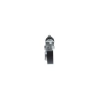 BOSCH 1 987 600 378 Riemenspanner, Keilrippenriemen