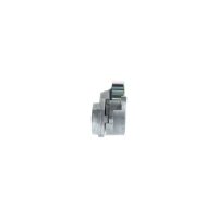 BOSCH 1 987 600 407 Riemenspanner, Keilrippenriemen
