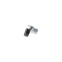 BOSCH 1 987 600 417 Riemenspanner, Keilrippenriemen