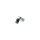 BOSCH 1 987 600 417 Riemenspanner, Keilrippenriemen