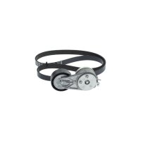 BOSCH 1 987 600 763 Keilrippenriemensatz