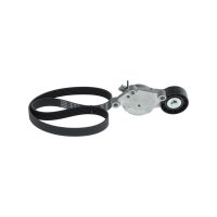 BOSCH 1 987 600 769 Keilrippenriemensatz