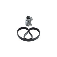 BOSCH 1 987 600 769 Keilrippenriemensatz