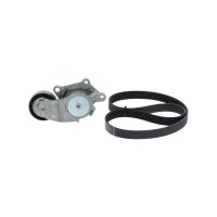 BOSCH 1 987 600 769 Keilrippenriemensatz