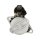 AS-PL S01086(SEG) Starter