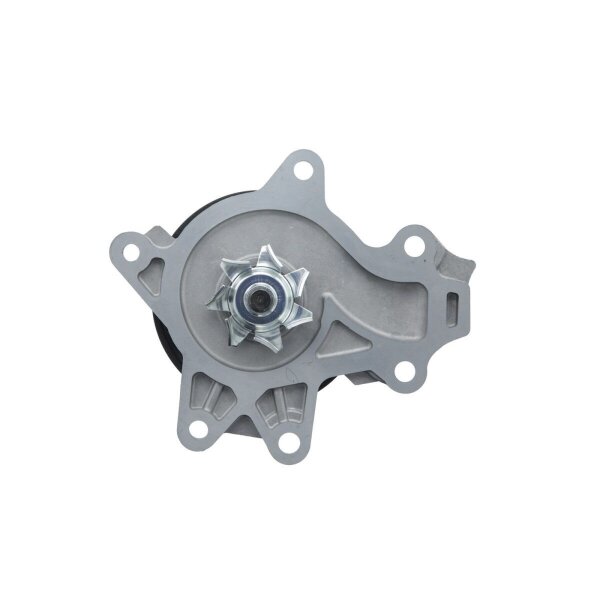 VALEO 529623 Wasserpumpe, Motorkühlung