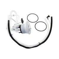 VDO/CONTINENTAL 2803580254302 Kraftstoff-Fördereinheit