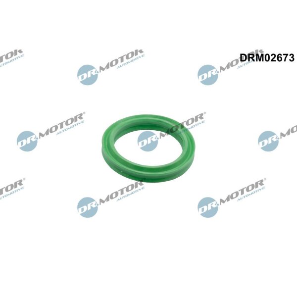 Dr.Motor Automotive DRM02673 Dichtring, Ladeluftschlauch
