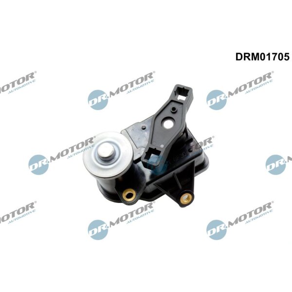 Dr.Motor Automotive DRM01705 Stellelement, Drallklappen (Saugrohr)