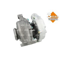 NRF 90010061 Lader, Aufladung