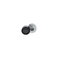 BOSCH 1 987 600 308 Riemenspanner, Keilrippenriemen