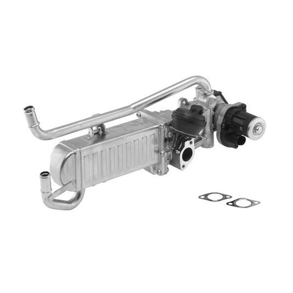 BorgWarner 710862D/1 AGR-Modul