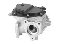 BorgWarner 729002D AGR-Ventil