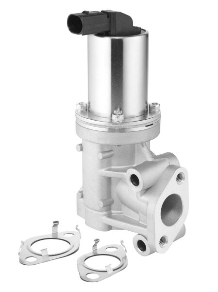 BorgWarner 729011D AGR-Ventil