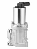 BorgWarner 729011D AGR-Ventil