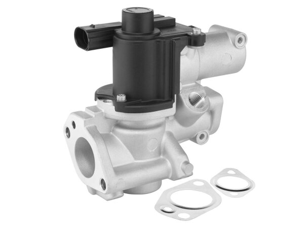 BorgWarner 729020D AGR-Ventil