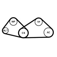 CONTINENTAL CTAM 4PK810K1 Keilrippenriemensatz