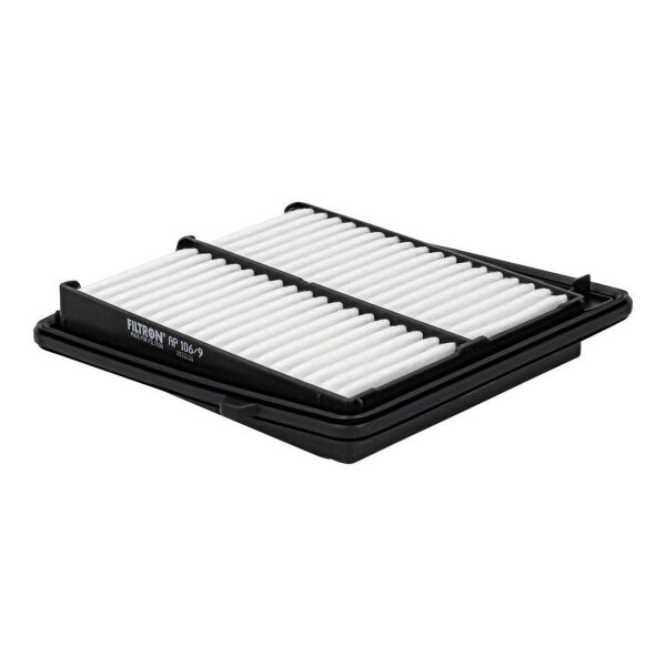 FILTRON AP 106/9 Luftfilter