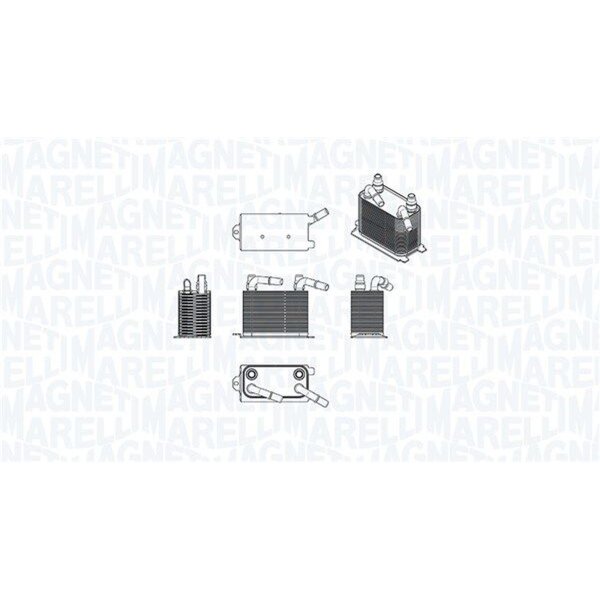 MAGNETI MARELLI 350300006900 Ölkühler, Motoröl