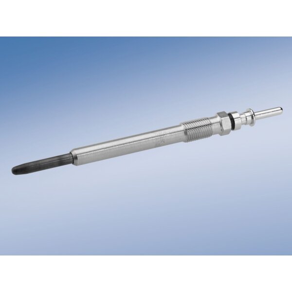 BOSCH 0 250 202 042 Glühkerze