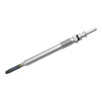BOSCH 0 250 202 042 Glühkerze