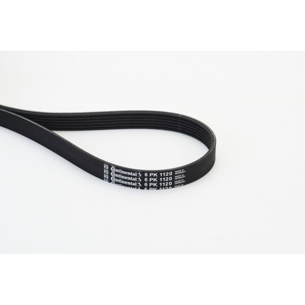 CONTINENTAL CTAM 6PK1120 Keilrippenriemen